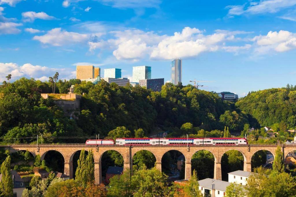 Large Family Retro Flat In City Center- Large Terrace & Garden View, Free Parking Luxembourg Extérieur photo