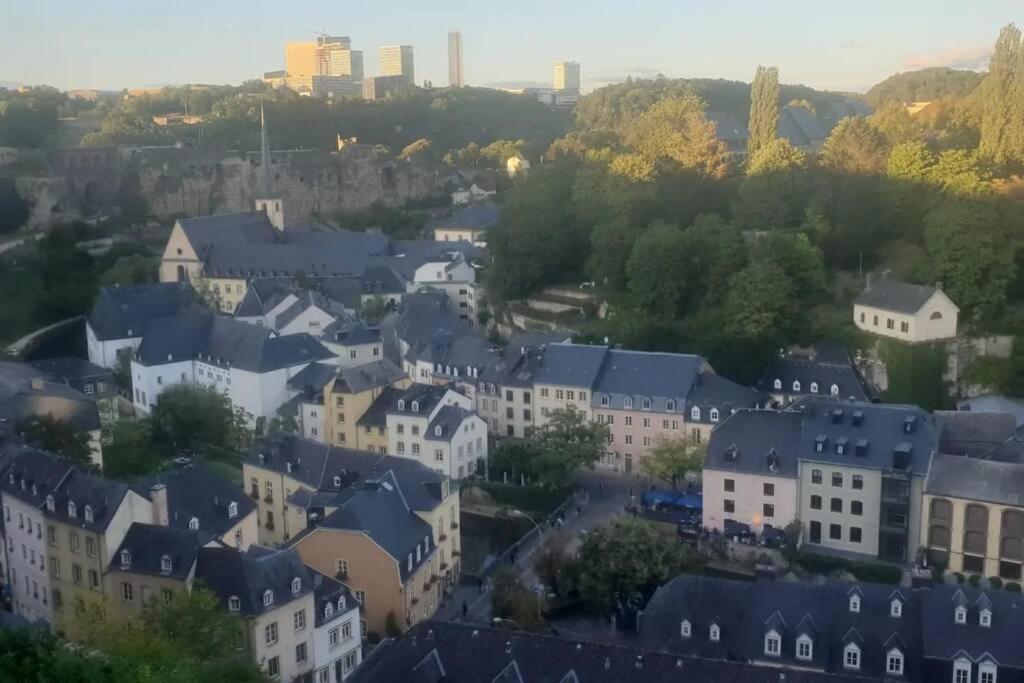 Large Family Retro Flat In City Center- Large Terrace & Garden View, Free Parking Luxembourg Extérieur photo